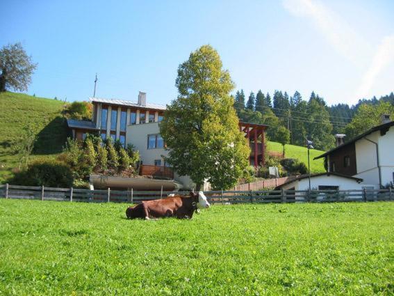 Studio 21A Hopfgarten im Brixental Buitenkant foto